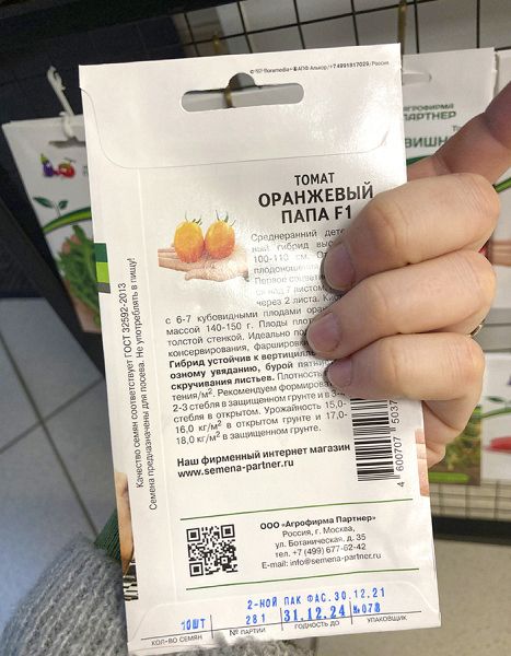 томат Оранжевый папа F1